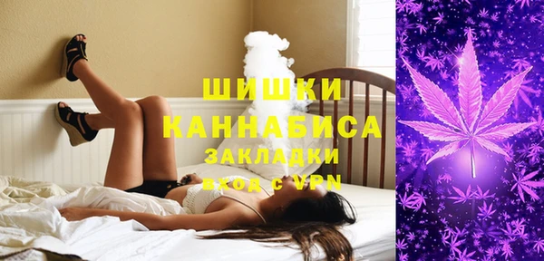 амф Вяземский