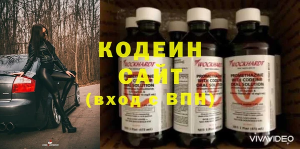 амф Вяземский