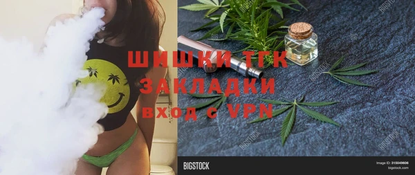 амф Вяземский