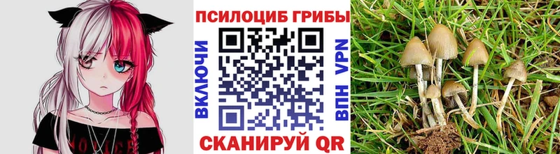 Галлюциногенные грибы мухоморы  Плавск 